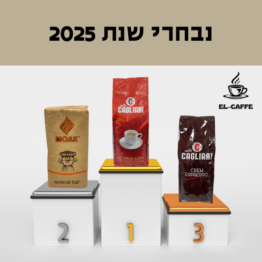 נבחרי שנת 2025